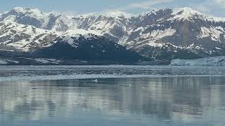 20240627 Hubbard Glacier Alaska 43 [upl. by Lynnell72]