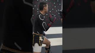 Muay Thai vs Taekwondo Blackbelt 3rd Degree [upl. by Otirecul]