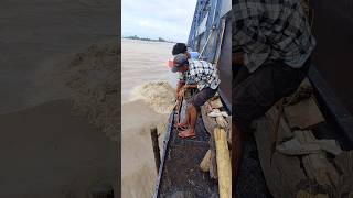 Koshi barrage nepal 🇳🇵viralvideo koshiriver shortvideo shatrudhanisar shorts shatrudhanisar [upl. by Marjy796]