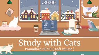 Study with Cats ⛄ Pomodoro Timer 3010 x Animation  Snowy day study vibes Warm room Cats amp Lofi🧡 [upl. by Quita]