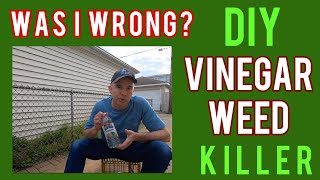 The Truth about DIY Vinegar Weed Killer [upl. by Costin]