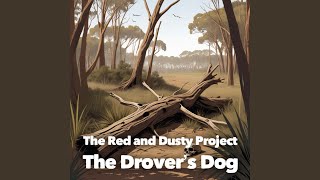 The Drovers Dog Watson [upl. by Keane]