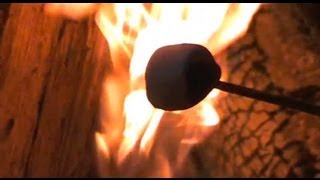 How to Make a SMores Smores by the Campfire [upl. by Ecydnac]