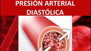 Presión arterial diastólica [upl. by Nyllewell]