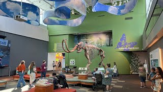 Our Tour of the Florida Museum of Natural History in Gainesville FL  Free Things to Do in Florida [upl. by Hnoj855]