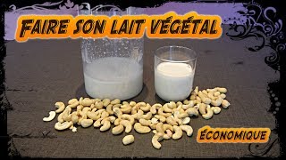 Comment faire du lait végétal I facile rapide et très économique [upl. by Sualkin]