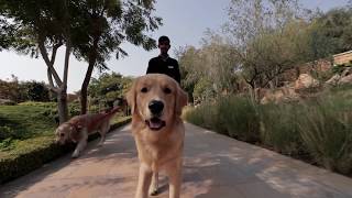 Mornings at Suryagarh Jaisalmer [upl. by Iorgos]