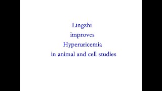 Ganoderma Research  Lingzhi improves hyperuricemia in animal and cell studies [upl. by Agamemnon476]