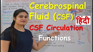 Cerebrospinal fluid in Hindi CSF  Functions  Production  CSF Circulation  Choroid Plexus [upl. by Eerdua]