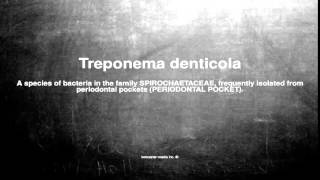 Medical vocabulary What does Treponema denticola mean [upl. by Dillie]