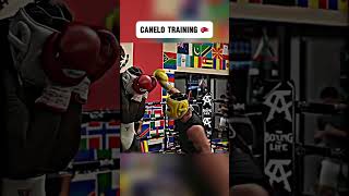 Canelo Training 🥊🔥 canelo boxing shorts [upl. by Nefen]