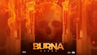 Skeng  Burna Audio Visual [upl. by Funk233]