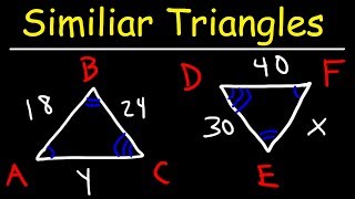 Similar Triangles [upl. by Azilef]