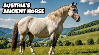 Discover the Majestic Noriker AustriasAncient Draft Horse [upl. by Purpura]