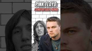 The Story of Comfortably Numb by Pink Floyd pinkfloyd rogerwaters davidgilmour thewall [upl. by Asus]