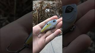 How to make crank baits weedless fishing bassfishing shorts [upl. by Eikcuhc]