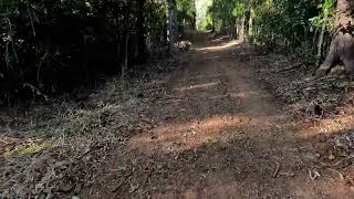 Blacksoil Road DAguilar National Park part 1 [upl. by Quigley]