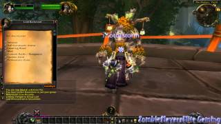 MMORPG Gaming World of Warcraft WOW Heroes Server Tour [upl. by Alguire146]