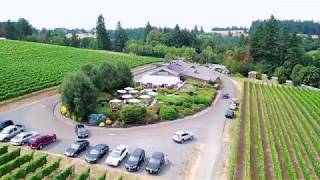 Welcome to Hawks View Winery [upl. by Edmea]