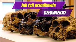 Ewolucja CZŁOWIEKA  od australopiteka do Homo sapiens [upl. by Adnoyek]