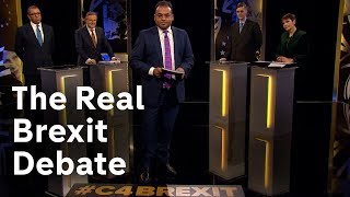 The Real Brexit Debate [upl. by Amoritta]