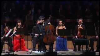 HAUSER  Haydn Cello Concerto in C 1st mov [upl. by Annayt]