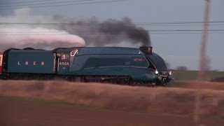 LNER A4 4464 Bittern Frinkley Lane 07122013 [upl. by Dasi754]