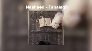 Nasheed  Tabalagh bil qaleel sped up [upl. by Nepean]