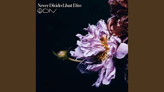 Never Divided Just Dive [upl. by Aubarta]