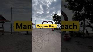 Mangrove Beach Resort ksdaily travel travelfoodblog resort travelvlog foryou viral short [upl. by Notecnirp]