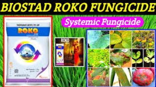 roko fungicide uses  thiophanate methyl  roko biostadt dosage [upl. by Acilgna962]