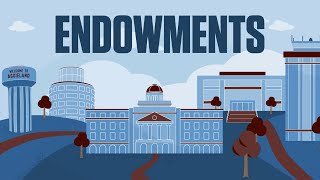 What is an Endowment [upl. by Rodger]