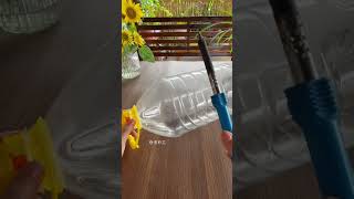 Beautiful garden flowers plants in bottle flower diy garden home gardenplants [upl. by Trainor]