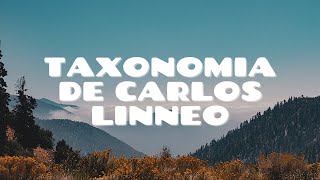 Taxonomía de Carlos Linneo [upl. by Braynard]