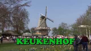 keukenhof en Hollande les tulipes [upl. by Streeto522]