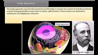 Standard 9 Science The cell organelles II  Quick revision  NCERT  Animation [upl. by Elna699]