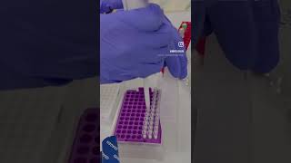 Dijital PCR deneyimi 🧬🤩 dPCR qiagen [upl. by Chenee284]