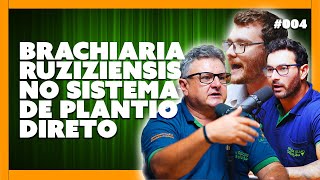 BRACHIARIA RUZIZIENSIS NO SISTEMA DE PLANTIO DIRETO  ARDS Podcast  004 [upl. by Lyrpa]