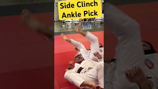 Side Clinch Ankle Pick [upl. by Cobb]