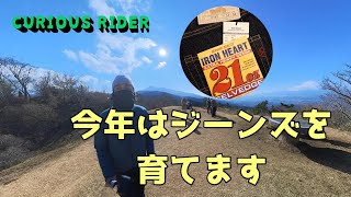 【VITPILEN 401】足柄峠  IRON HEART 634Sの紹介 [upl. by Eilujna]