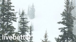 Sonidos Relajantes de Nevada para Dormir  Sonidos de la Naturaleza de Relajación para Dormir Bien [upl. by Attenahs289]