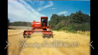 510 Massey Harvests Oats [upl. by Odericus]