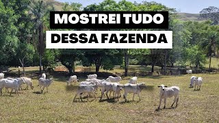 MOSTREI TUDO DESSA FAZENDA Canas  SP [upl. by Anilorak]