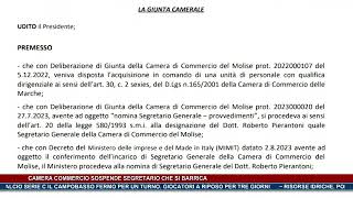 Camera commercio sospende segretario che si barrica  Trsp  news del 141124 [upl. by Nwahsear611]