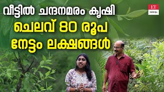 Sandalwood Farming ചന്ദനമരം ഒരു പെൻഷൻ സ്‌കീം ആണ് [upl. by Martino]