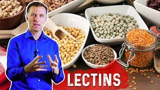 Lectins and Autoimmune Conditions [upl. by Ramraj]