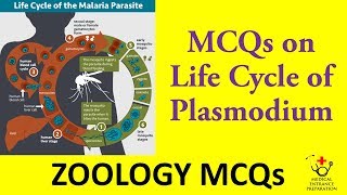 MCQs on Life Cycle of Plasmodium  Zoology MCQs  MBBS Entrance Preparation [upl. by Darda]