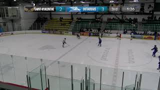 RSEQ D1 Hockey Masculin 🏒 SaintHyacinthe  Outaouais 20240301 [upl. by Klaus]