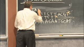 Agarose Gel Electrophoresis DNA Sequencing PCR Excerpt 1  MIT 701SC Fundamentals of Biology [upl. by Hsital60]