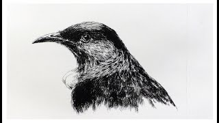 How to make a bird etching [upl. by Yehs]